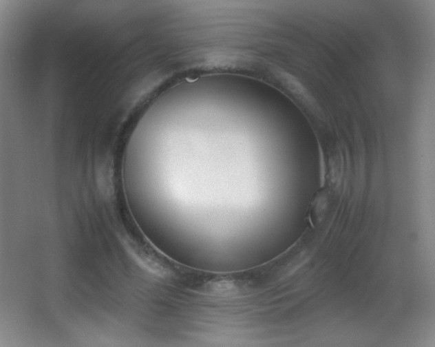 X0000062900588200601131402