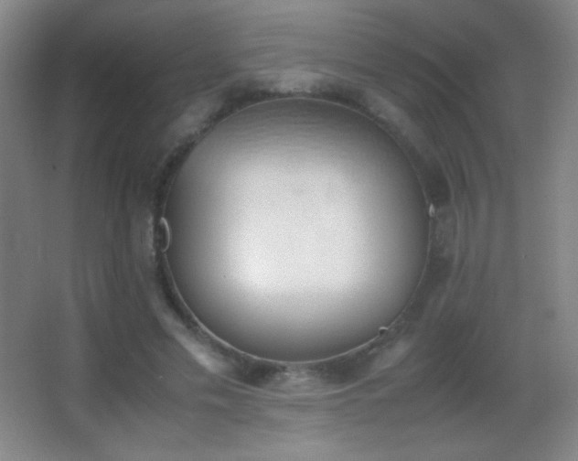 X0000062900589200601131402