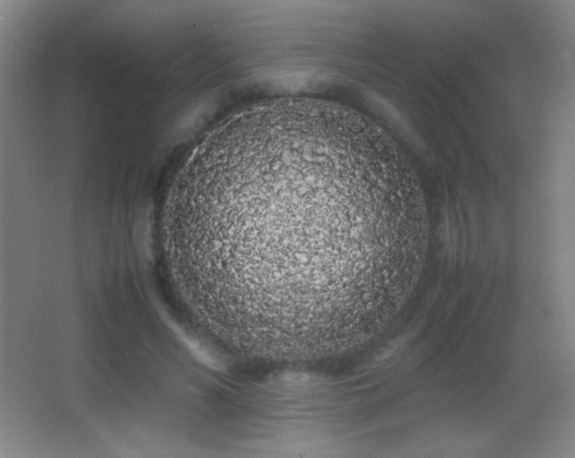 X0000062900590200601131402