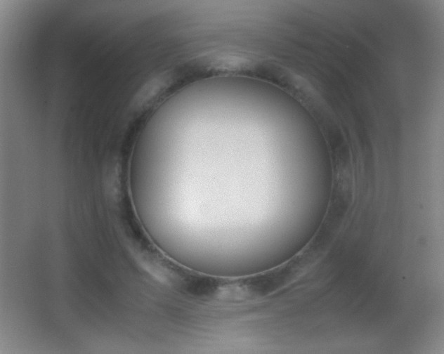 X0000062900591200601131402