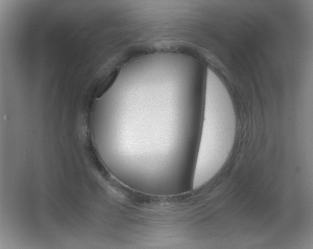 X0000062900593200601131402