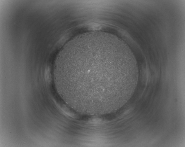 X0000062900598200601131402