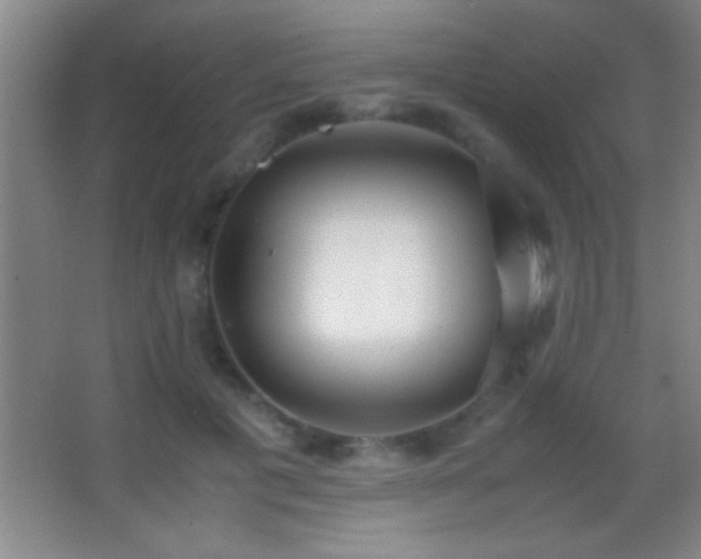 X0000062900601200601131402