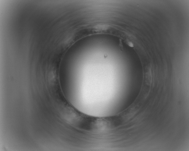 X0000062900608200601131402