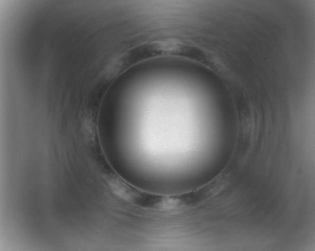 X0000062900609200601131402