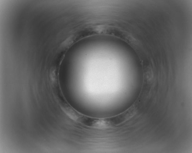 X0000062900611200601131402