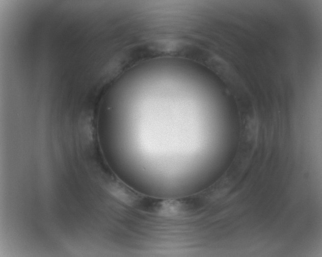 X0000062900612200601131402