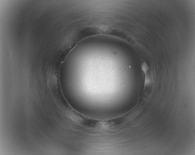 X0000062900613200601131402