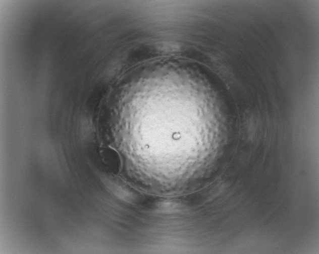 X0000062900614200601131402