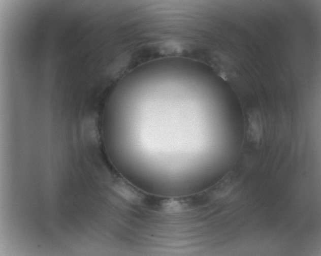 X0000062900616200601131402
