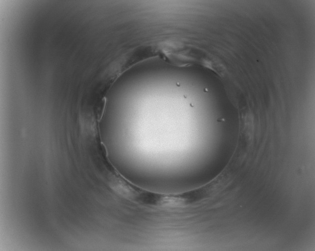 X0000062900617200601131402