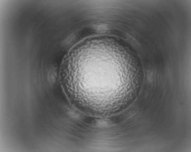 X0000062900618200601131402