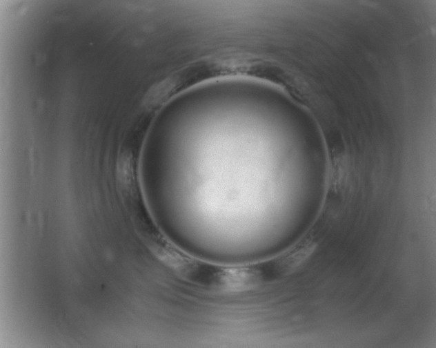 X0000062900623200601131402