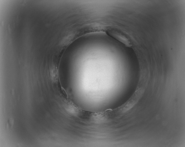 X0000062900624200601131402