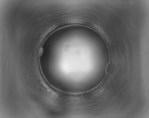 X0000062900625200601131401