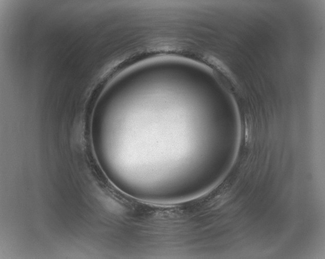 X0000062900627200601131401