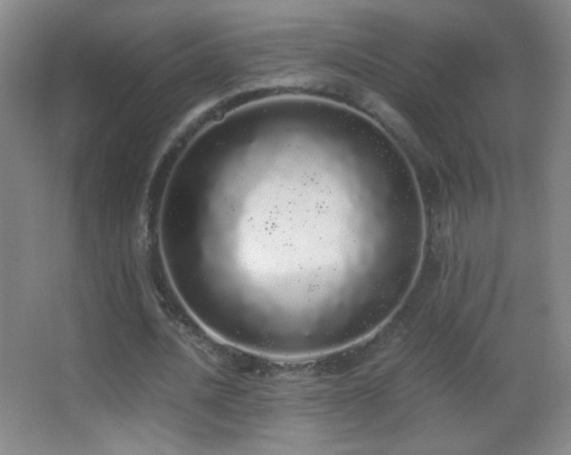 X0000062900628200601131401
