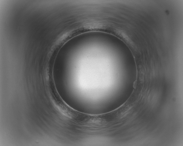 X0000062900631200601131401