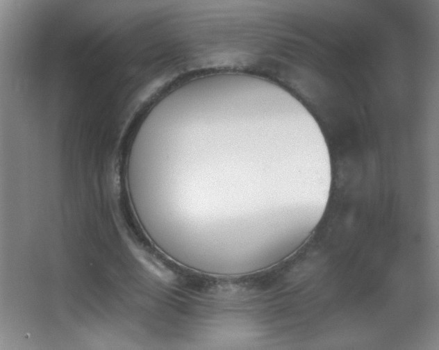 X0000062900632200601131401