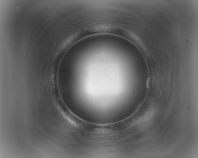 X0000062900633200601131401
