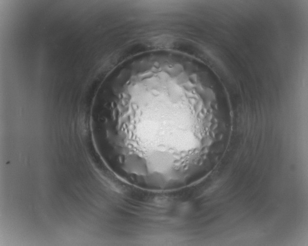 X0000062900641200601131401