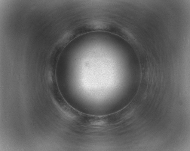X0000062900643200601131401