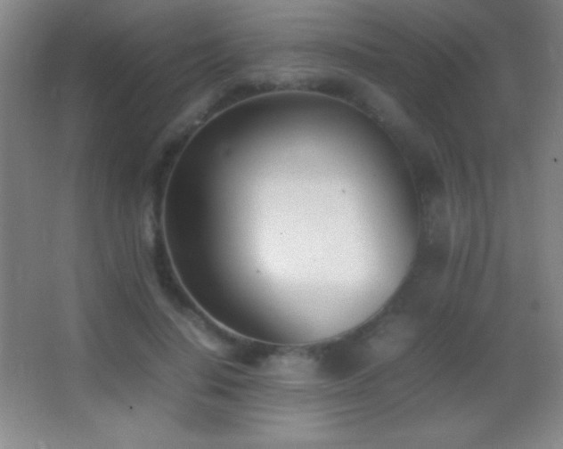 X0000062900644200601131401