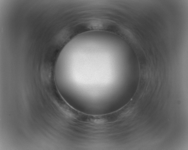 X0000062900645200601131401