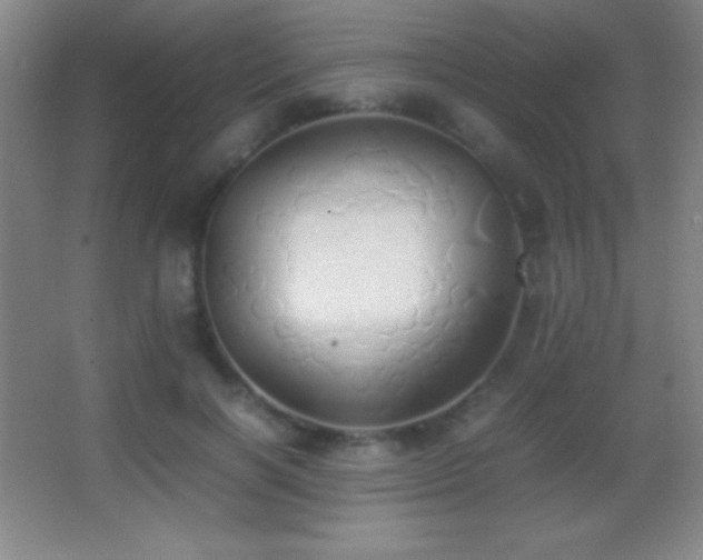 X0000062900646200601131401