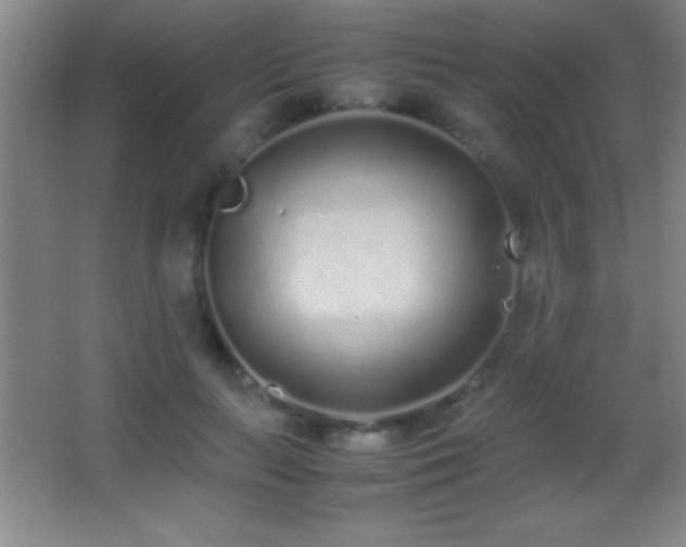 X0000062900647200601131401