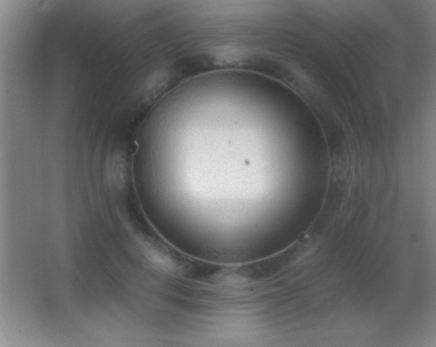 X0000062900648200601131401