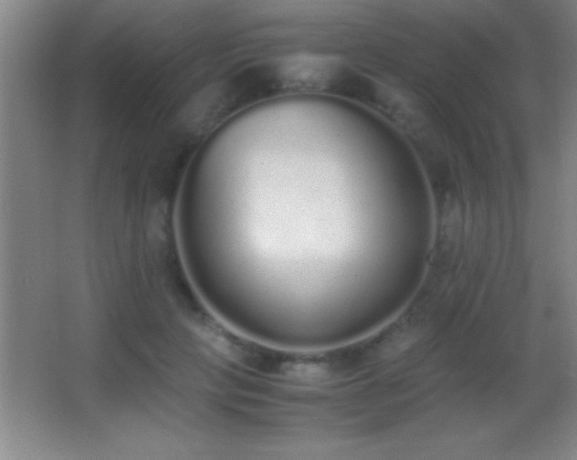 X0000062900649200601131401