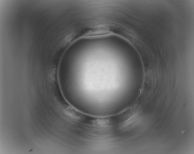 X0000062900652200601131401