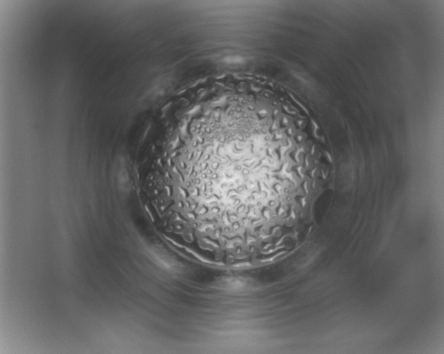 X0000062900654200601131401