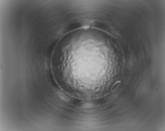 X0000062900658200601131401