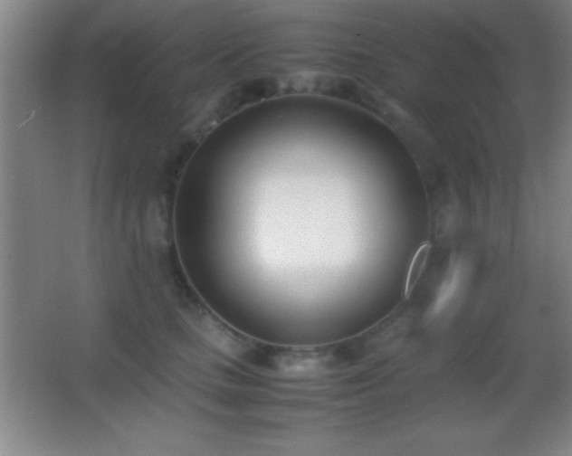 X0000062900661200601131402