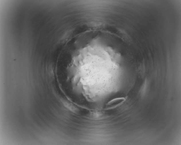 X0000062900662200601131402