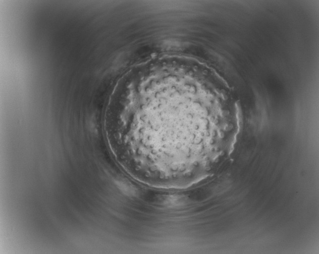 X0000062900663200601131402