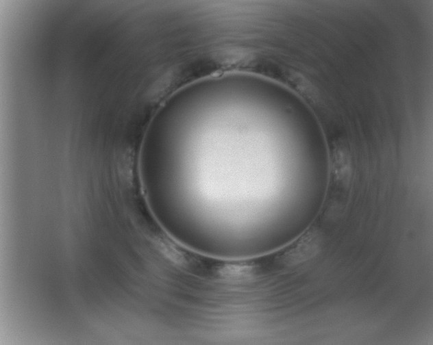 X0000062900664200601131402