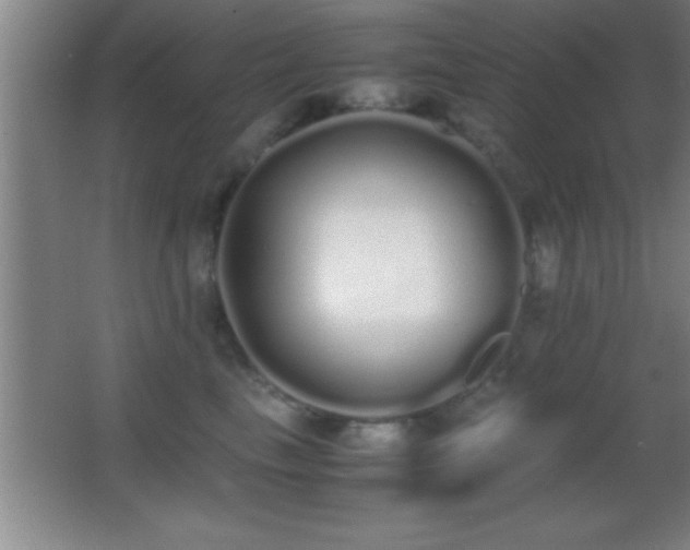 X0000062900665200601131402