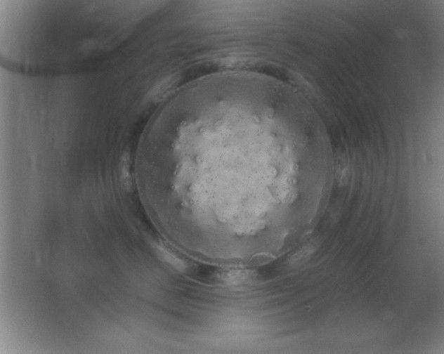 X0000062900670200601131402