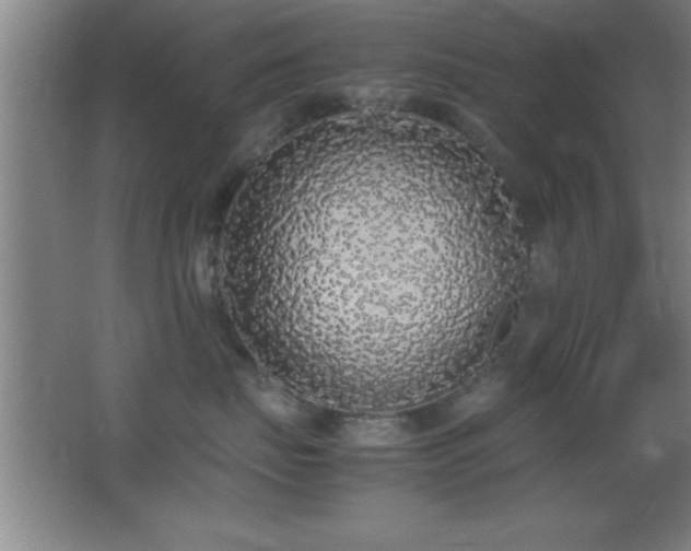 X0000062900671200601131402