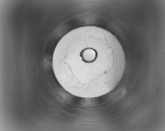 X0000062900672200601131402