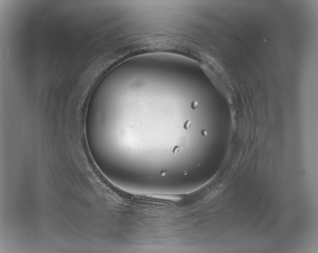 X0000062900673200601131401