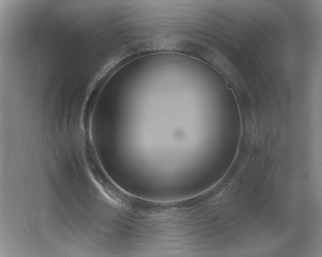 X0000062900674200601131401