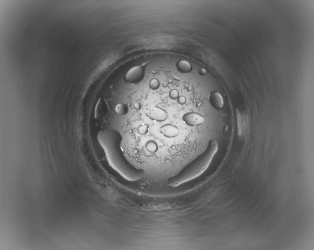 X0000062900675200601131401