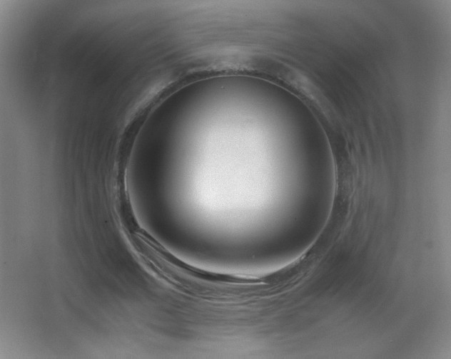 X0000062900677200601131401