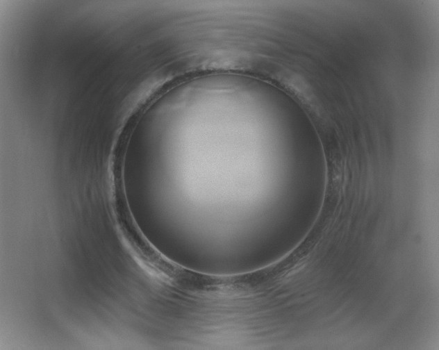 X0000062900678200601131401