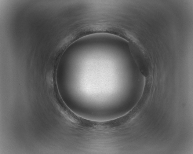 X0000062900681200601131401