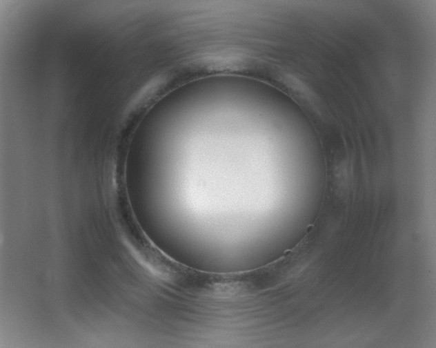X0000062900686200601131401